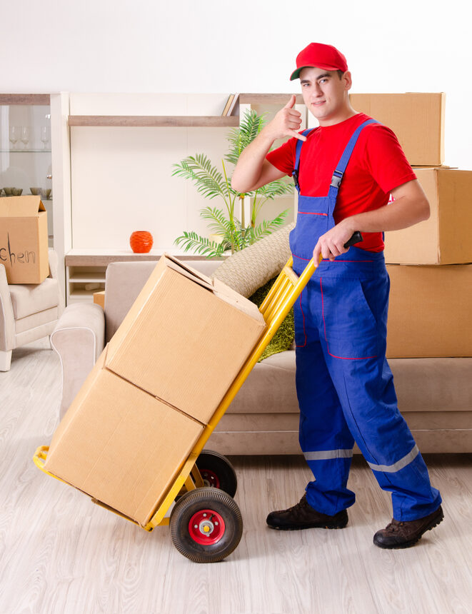 professional movers and packers